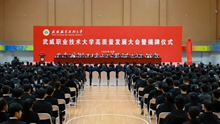 178体育app官网高质量发展大会暨揭牌仪式举行