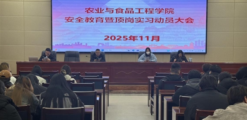 护航实习路，关爱伴成长