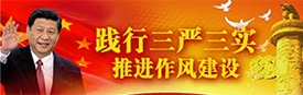 三严三实