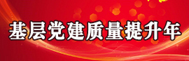基层党建质量提升年