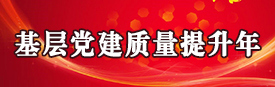 基层党建质量提升年