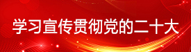 学习宣传贯彻党的二十大精神
