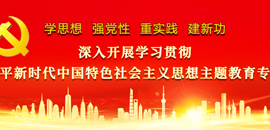 深入开展学习贯彻习近平新时代中国特色社会主义思想主题教育
