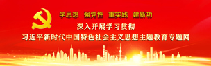 深入开展学习贯彻习近平新时代中国特色社会主义思想主题教育