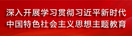 深入开展学习贯彻 习近平新时代中国特色社会主义思想主题教育