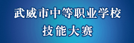 2025年武威市中等职业学校技能大赛