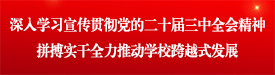学习宣传贯彻党的二十届三中全会精神