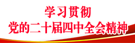 党的二十届四中全会精神