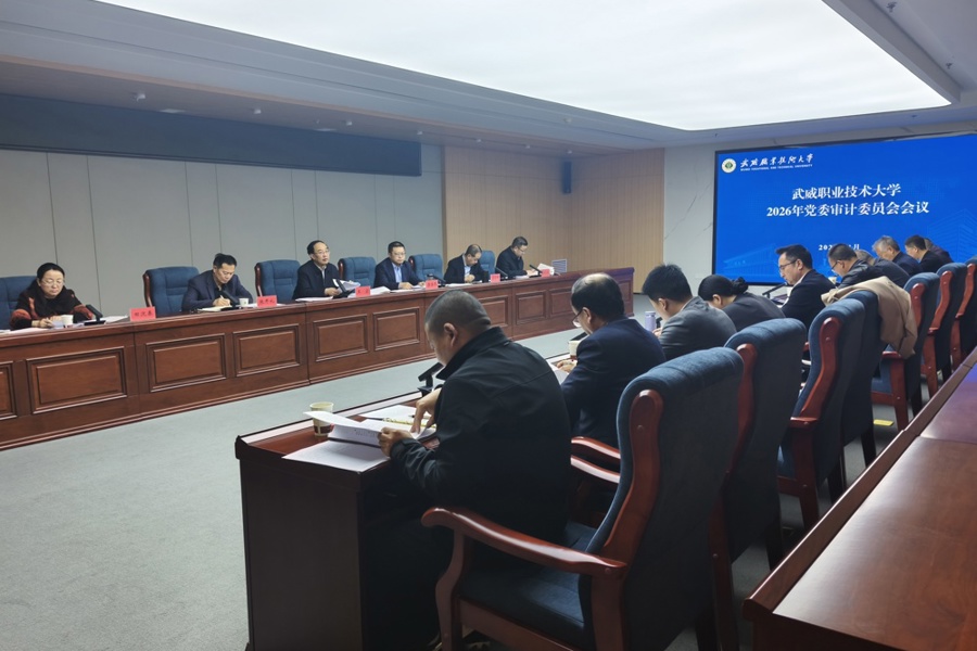 学校召开2026年党委审计委员会会议