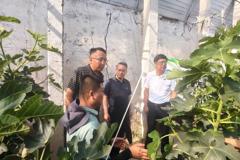 农业与食品工程学院赴武威金帆农业科技有限公司开展校企对接与科技服务调研活动