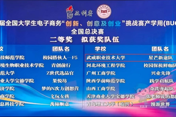 喜报！学校斩获第十六届“三创赛”产学用（BUC）实战赛国赛二等奖