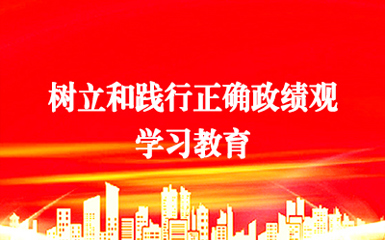 树立和践行正确政绩观学习教育